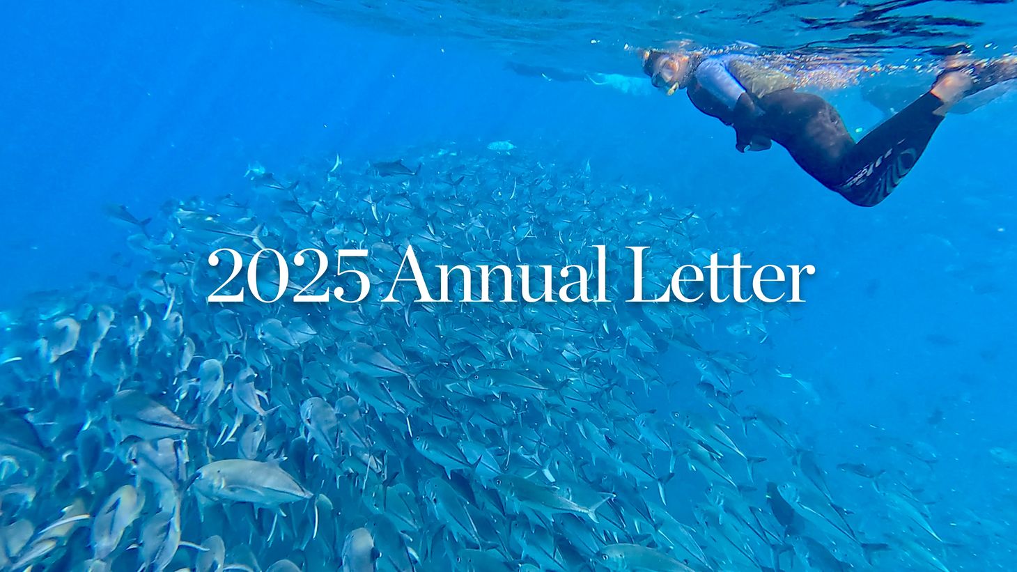 2025 Annual Letter